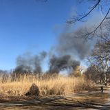 Brush Fire Burns Boston's Back Bay Fens