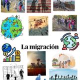 La migración 🗺️🧳