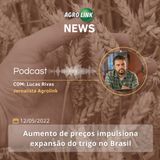 Brasil e Egito negociam aumento no comércio agrícola