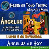ANGELUS DEL DIA DE HOY LUNES 3 DE NOVIEMBRE 2025, 🙏ORACION A NUESTRA MADRE 🌹LA VIRGEN MARIA 🙏.
