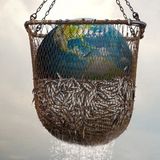 “Seaspiracy” il filmdocumentario che racconta l'impatto ambientale della pesca