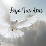 La sombra de tus alas