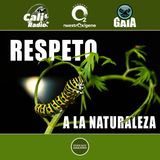 NUESTRO OXÍGENO Respeto a la naturaleza