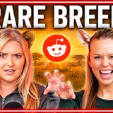Wild Reddit Stories Rare Breed Podcast