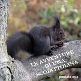 Puntata 204 - Le avventure di una scoiattolina