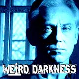The Fatal Vision Murders: Hippie Cult or Husband's Rage?