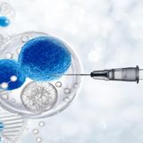 The Complete Guide to Using Peptides for Better Sexual Health and ED Recovery