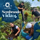 NUESTRO OXÍGENO Sembrando vida