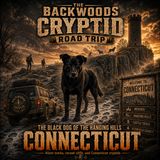 Connecticut: The Black Dog