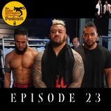 The Color Commentary Wrestling Podcast - Episode 23