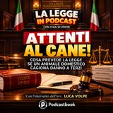 Attenti al cane! Cosa prevede la legge se un animale domestico cagiona danno a terzi