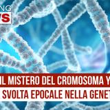 Il Mistero Del Cromosoma Y: Una Svolta nella Genetica!