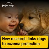 New research links dogs to eczema protection