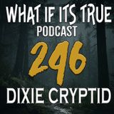 Archive 246 Bigfoot Stories