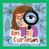 ¿Por que la hierba es verde?