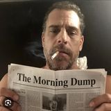 NWJ840- The Morning Dump: Hunter Biden Reinvented, Epstein Blame Game, Trump Assassin Disinfo & More
