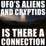 STRANGE NON-HUMAN CREATURES ENCOUNTERED IN ARIZONA | IS THERE A CONNECTION WITH CRYPIDS?