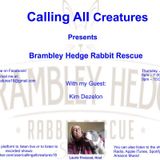 Calling All Creatures Presents Brambley Hedge Rabbit Rescue