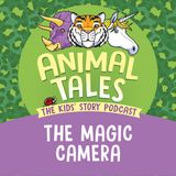 The Magic Camera