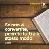 23 marzo - III DOMENICA DI QUARESIMA - Se non vi convertite, perirete tutti allo stesso modo