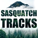 Real Military Encounters with Sasquatch! Hold on, How Copy?
