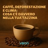 Caffè, deforestazione e clima: cosa c’è davvero nella tua tazzina