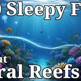 The Most Relaxing Facts About Coral Reefs to Fall Asleep To