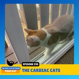 Episode 310: The Cardiac Cats