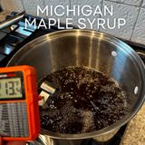 Beginner's Guide: How to tap maple trees and make your own maple syrup (2024)