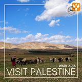 Visit Palestine: 03 Wadi Auja - Accesso alla terra