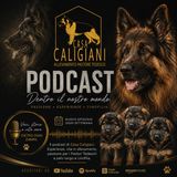 Dentro Casa Caligiani #3 | Colpo di calore nel cane: riconoscerlo, prevenirlo, intervenire