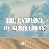 The Evidence of Gentleness | The Evidence | Pastor Dennis Cummins | ExperienceChurch.tv