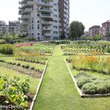 #roma Che idea gli Orti Urbani!