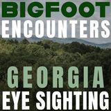 BIGFOOT ENCOUNTERS AND EXPERIENCES FROM GEORGIA STATE | I ENCOUNTERED TWO FIGURES IN THE FOREST!