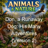 Don a Runaway Dog His Many Adventures Version 2 - Richard Barnum