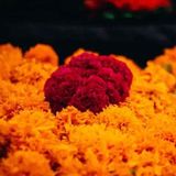 El origen mesoamericano del culto a los muertos: predecesor del Día de Muertos