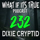 Archive 232 Bigfoot Stories