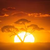 A DECLARATION AND A PROMISE (Episode 724 - Preachify Daily Devotional)