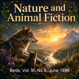 Birds Vol III No 6 June 1898 - Various