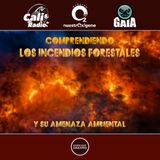 NUESTRO OXÍGENO Comprendiendo los incendios forestales y su amenaza ambiental