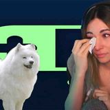 Alinity Gets Away With Lying Again