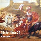 Omero - Iliade - Libro 22