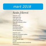 Sesin Hicreti / Mart 2018