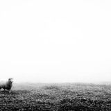 BEFORE YOU GO - LOT'S EXPERIENCE (Episode 698 - Preachify Daily Devotional)