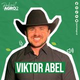 Estratégias para sucesso no confinamento de gado de corte #417