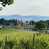 Esce di strada con la moto e finisce in vigneto: gravissimo un giovane motociclista – VIDEO