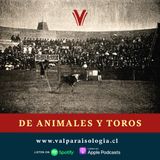 De Animales y Toros | Archivos de papel