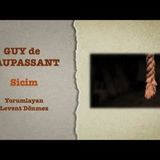 Guy de Maupassant - Sicim
