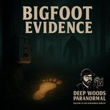 Bigfoot Evidence | Trail Cameras, Prints & Hair Samples