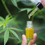 Il Decreto sicurezza ha messo fuorilegge anche la cannabis light